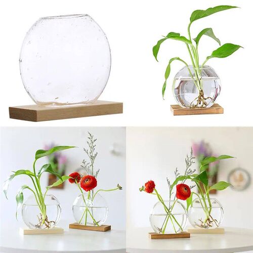 Mini Hydroponic Plants Vase Home Decorative Planter for Tabl