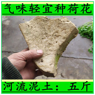 发酵腐熟柳树皮 兰花土 种植料盆景土营养土