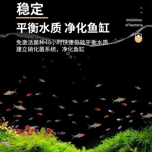 益尔休眠型硝化菌干粉硝化细菌浓缩生物菌粉净水淡水海水水族专用