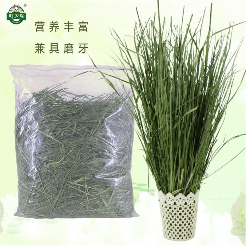 烘干提摩西草幼兔草甘肃归乡提兔粮饲料提木西头茬干草兔磨牙牧草