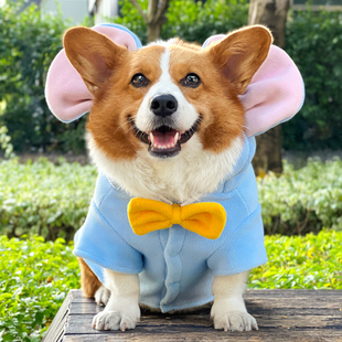 柯基衣服秋冬款加厚保暖中型小型犬比熊雪纳瑞马甲柴犬狗狗冬季衣