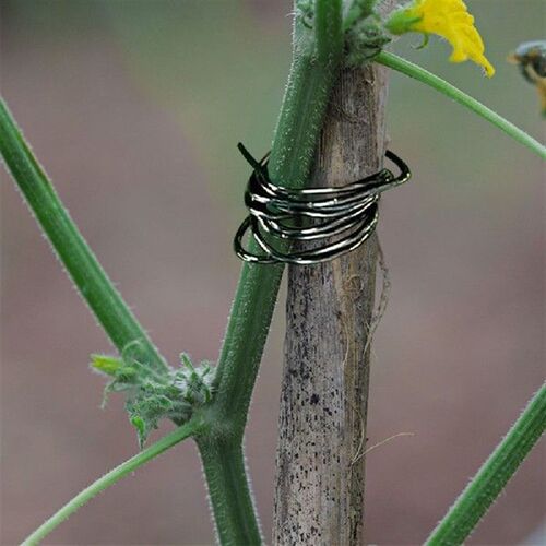 Binding Wire for Floristry Flower Arranging Length Wire