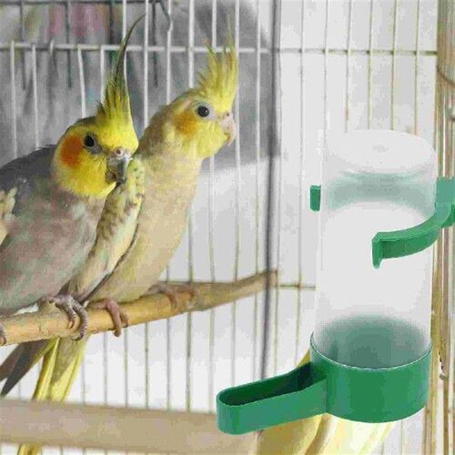 10 Pcs Bird Waterer Can Pigeon Drinker Supplies Drinking