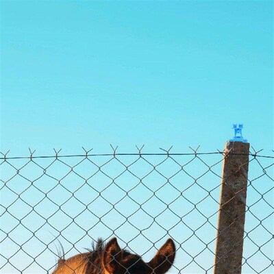 50 Pcs Wire Rabbit Cage Fence Insulator Kit Line Insulators