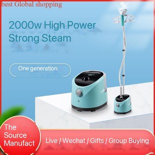 electric compact iron steam soleplate clothes steamer 熨斗