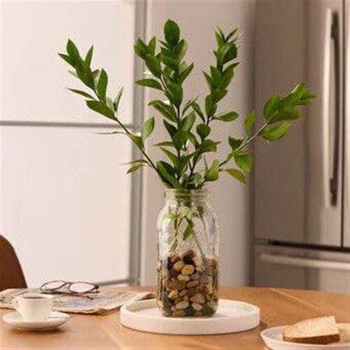 Wide Mouth Mason Jars Kitchen Storage & Canning for Herbs