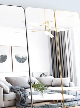 Mirrors Aluminum Alloy Piering Mirror Wall-mounted Full-Body