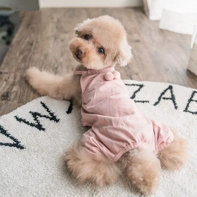 Summer Dog Clothes Jumpsuit Cute Pets Rompers Overalls Pants