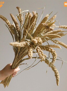Pampas Grass,Room Wedding decoration,Fluffy Pompas Floral