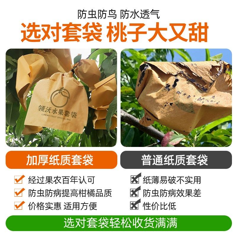 桃子套袋专用袋水蜜桃冬桃蟠桃黄桃专用网袋防虫防鸟水果树纸袋子,鲜花速递/花卉仿真/绿植园艺,其它园艺用品,淘宝优惠券,粉丝福利购,淘宝优惠卷