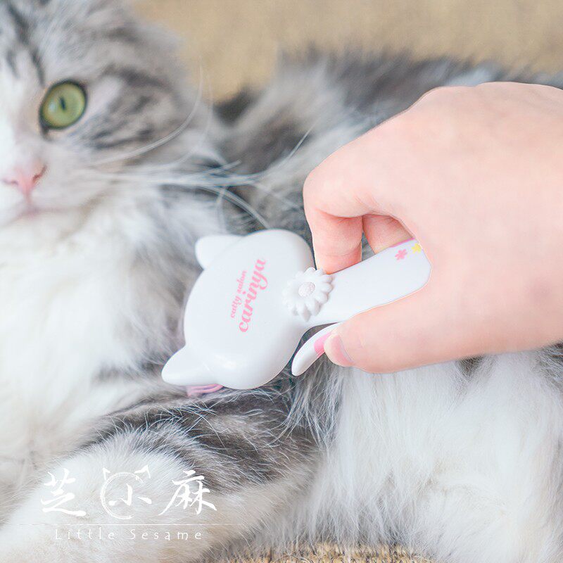 猫梳子贝壳梳猫毛梳宠物梳子针梳开结梳猫咪梳毛刷神器猫咪用品