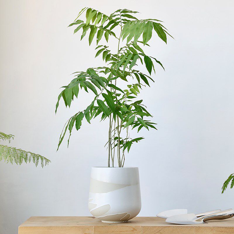 北欧白色陶瓷水滴高花盆大号无孔水培陶土陶盆粗陶绿植艺术套盆