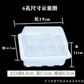 透明育苗箱 多肉植物播种塑料育苗盒育苗块 12孔 6孔育苗盘三件套