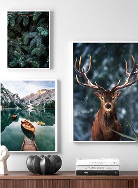 Landscape Poster Nature Decorative Picture Home Nordic Fog F