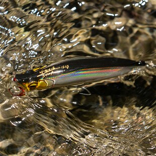2新款EWE美夏引波米诺水面系路亚饵超远投硬饵海鲈翘嘴鱤鱼假饵