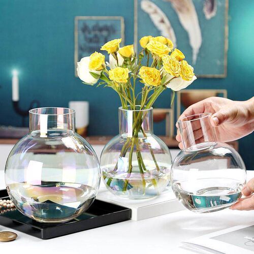 Simple colorful ball transparent glass vase flower arrangeme