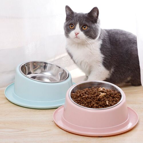 Cat Feeder Slope Anti-Ant Food Bowl For Cat Pet Accessories