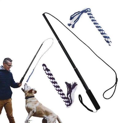 Interactive Flirt Pole Toy For Dogs Exercise Extendable Pet