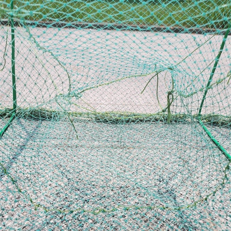 升级加长有结T型带翅石坠折叠捕鱼螃蟹龟鳖龙虾网大地鱼笼网虾笼,户外/登山/野营/旅行用品,鱼网/虾笼/其它渔具,淘宝优惠券,粉丝福利购,淘宝优惠卷