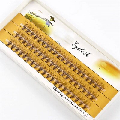 1 Box/60 Bunches Mink Eyelashes Natural 3D Russian Individua