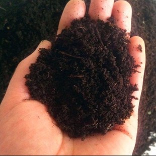 东北黑泥土长白山营养发土瓜果种菜育苗庭院种植通用肥沃纯泥土