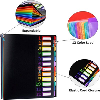 12 Pocket Expanding Project Sorter Heavy Duty Monthly Plasti