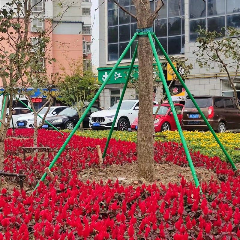 镀锌钢管树木支撑架树木支伸缩杆大树防风树支撑园林绿化支架固定,农用物资,苗木固定器/支撑器,淘宝优惠券,粉丝福利购,淘宝优惠卷