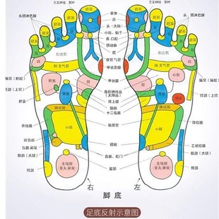 foot bath heating wash basin electric pedicure barrel足疗桶