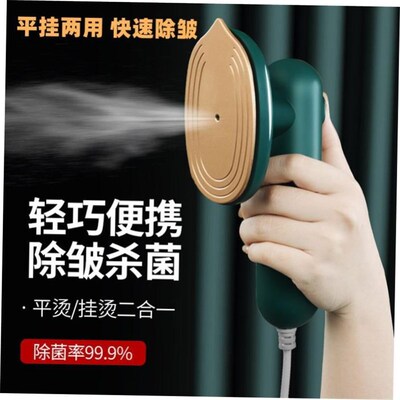 Handheld Steamer Portable Steam Electric iron 220V 1000W1