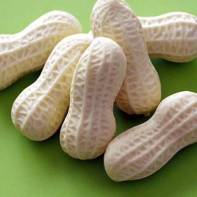 1 Piece Cute Kawaii Peanut Eraser Rubber Korean Groundnut St