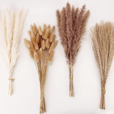 100pcs Room decor dried flower bouquet pampas grass Bohemian