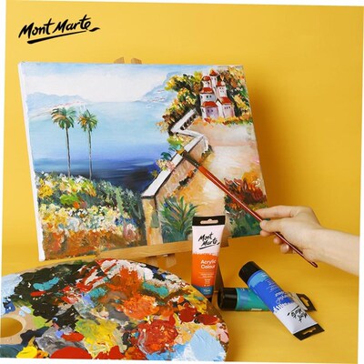 montamrte颜料 acrylic colour paint 24色丙烯颜料盒装