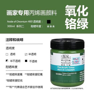 Winsor Newton Painter Acrylic Paint 300Ml painting pigment