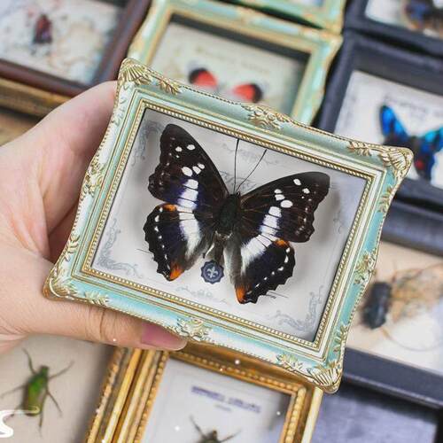 Lightweight Picture Display Stand Wooden Photo Frame