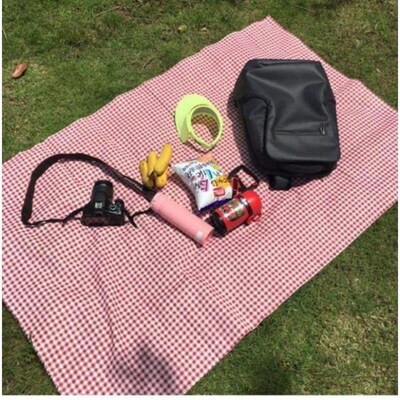 Travel lawn Oxford cloth go out picnic cloth mat