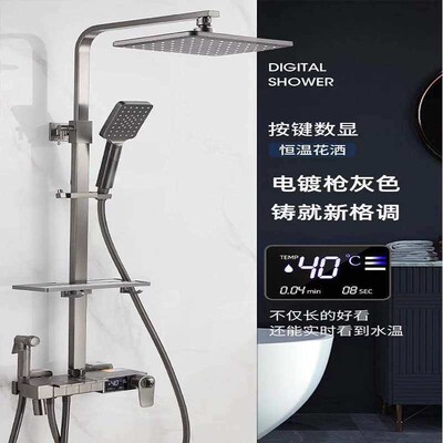 Smart Wire-drawing Gun Gray Constant Temperature Shower Show