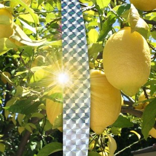 Multi-size Anti Bird Tape Flashing Reflective Bird Repellent