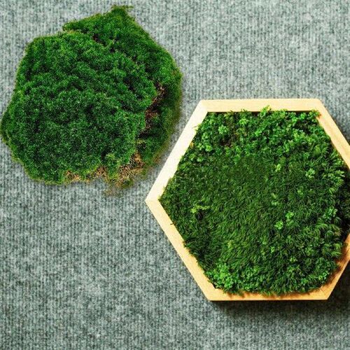 20cmx20cm Artificial Moss Turf Fake Grass Carpet