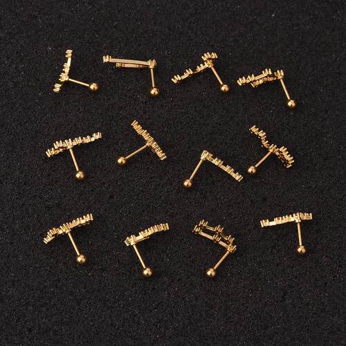 New Stainless Steel Twelve Constellation Ear Piercing Jewelr