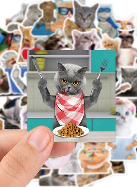 65pcs Funny Cute Cat Meme Stickers Kid Toy Scrapbook Noteboo