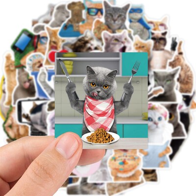 65pcs Funny Cute Cat Meme Stickers Kid Toy Scrapbook Noteboo