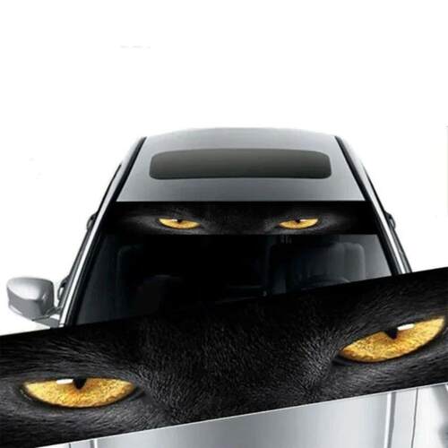 Car Front Windshield 3D Transparent ers Front and Rear Gear