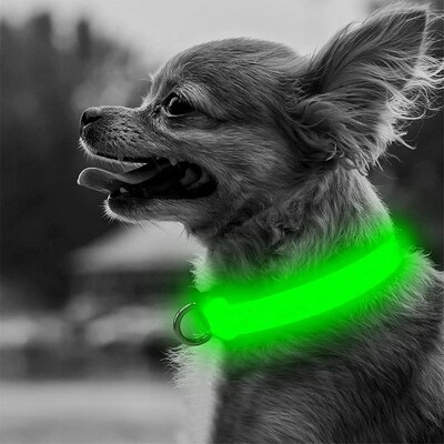Adjustable LED Dog Collar Glowing Anti-lost Night Safety Pet