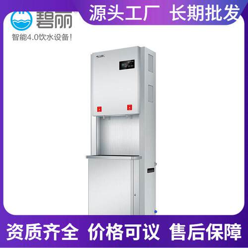碧丽冷热立式商用电开水器微电脑烧水器净化一体步进式开水机大型