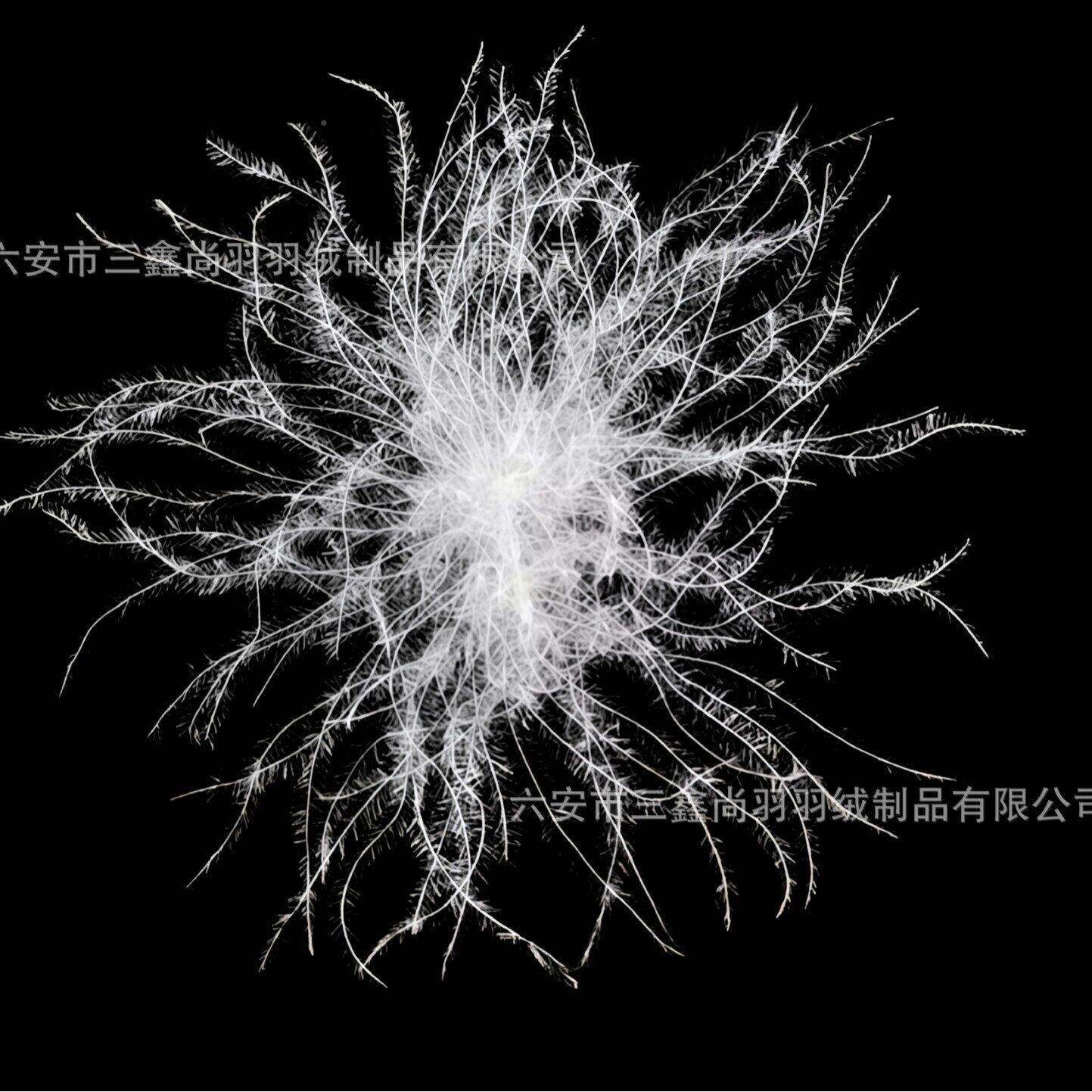 羽绒厂家水洗新国标90白纺朵鹅绒大被蓬松织制服装填KCQ充物