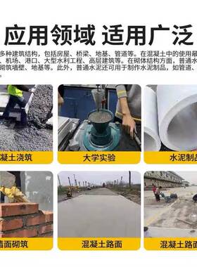 工厂直供P.O42.5普砖建通酸硅盐水泥795实验筑家用砌水泥混凝土