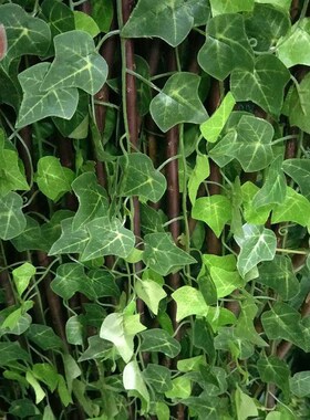 1Pc 230Cm Green Vine Silk Artificial Ivy Hanging Leaf Garlan