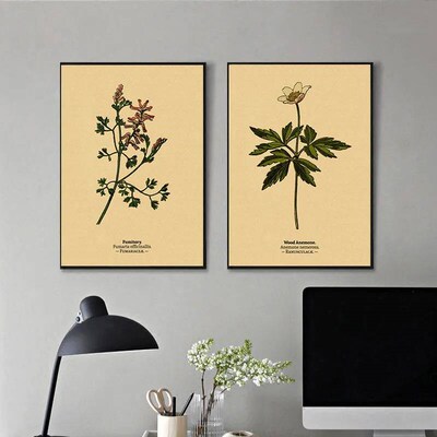 Botanical Illustration Poster Plant Leaf Flower Kraft Paper