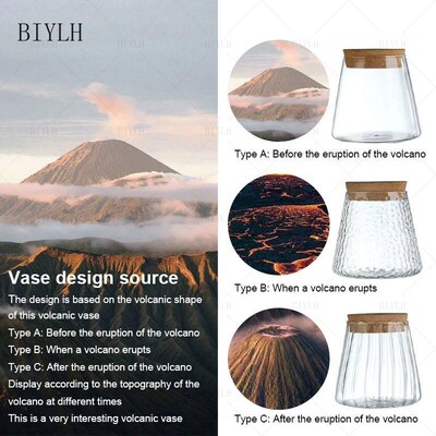 Home Decor Glass Vase Hydroponic Plant Volcano Small Vase No