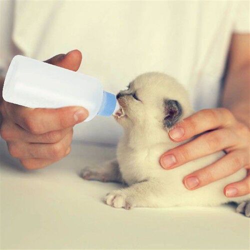 3 Pcs Pet Bottle Nursing Feeders Bottles Household Newborn